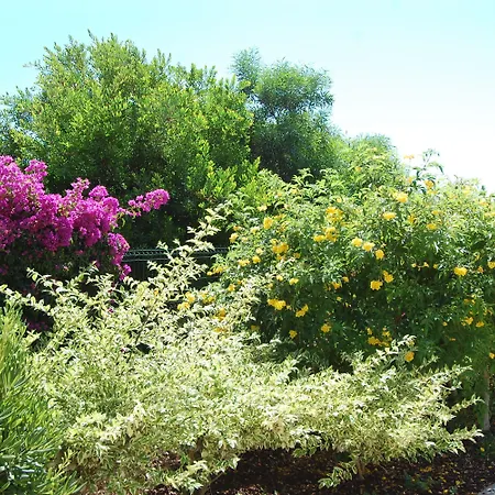 Semesterpark Presa De Moura 4*